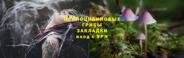 спиды Бородино
