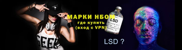 сатива Бугульма