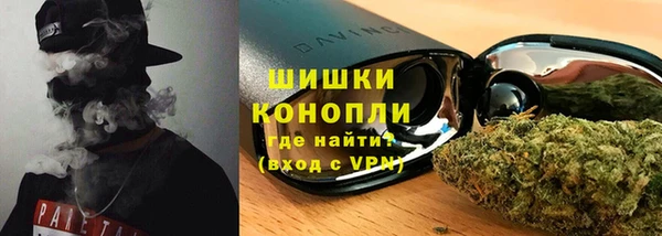 спиды Бородино