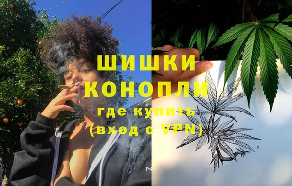 сатива Бугульма