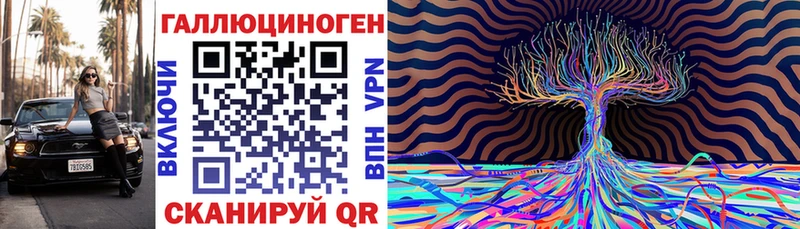 как найти закладки  Кимры  Псилоцибиновые грибы Magic Shrooms 